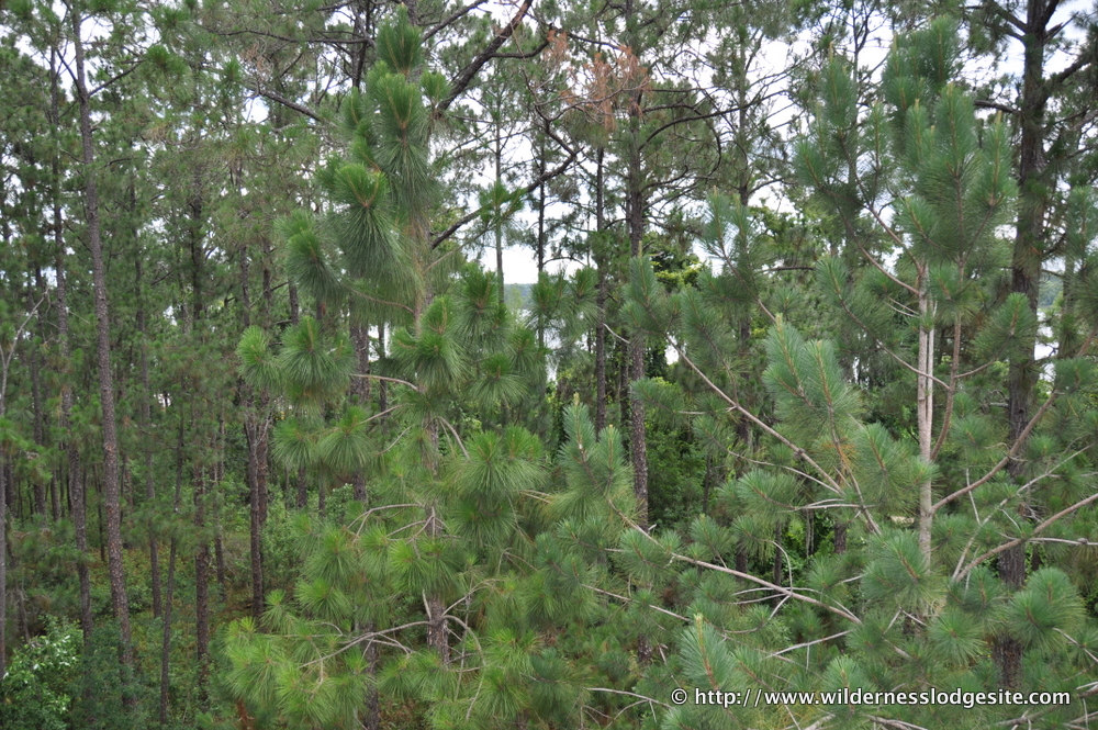 2B Villa 5537 Bay Lake View